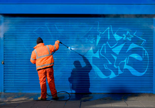 Best Roof Pressure Washing  in Gosport, IN
